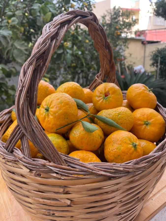 칼리아리 Tangerine Tree House 아파트 외부 사진