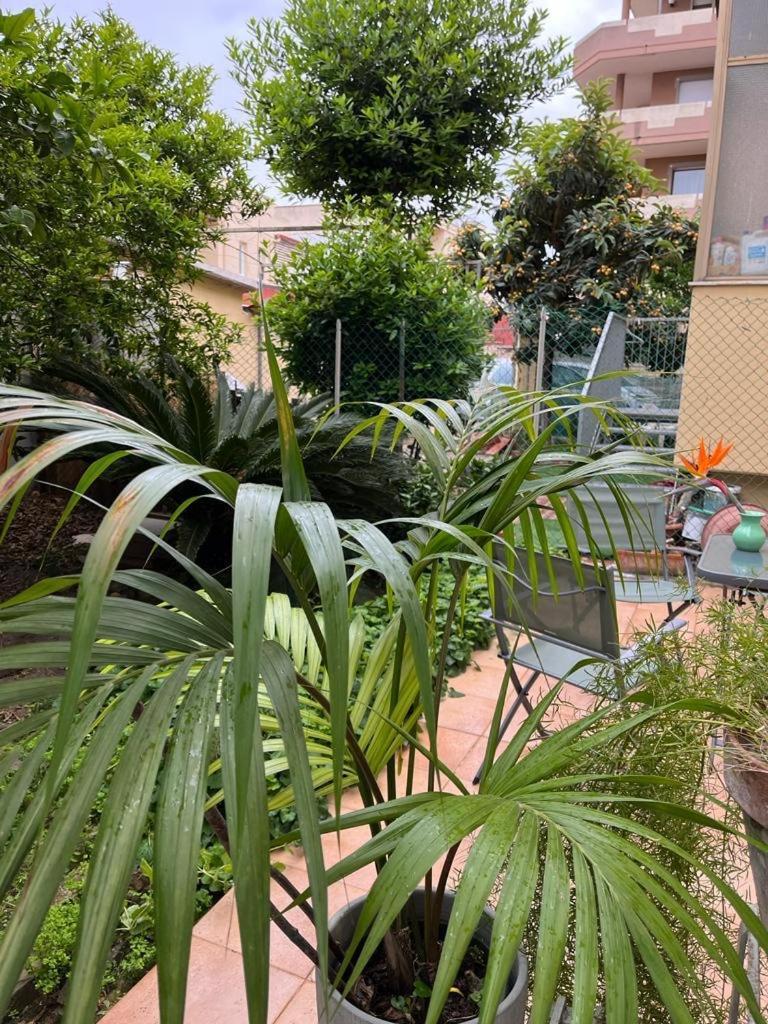 칼리아리 Tangerine Tree House 아파트 외부 사진